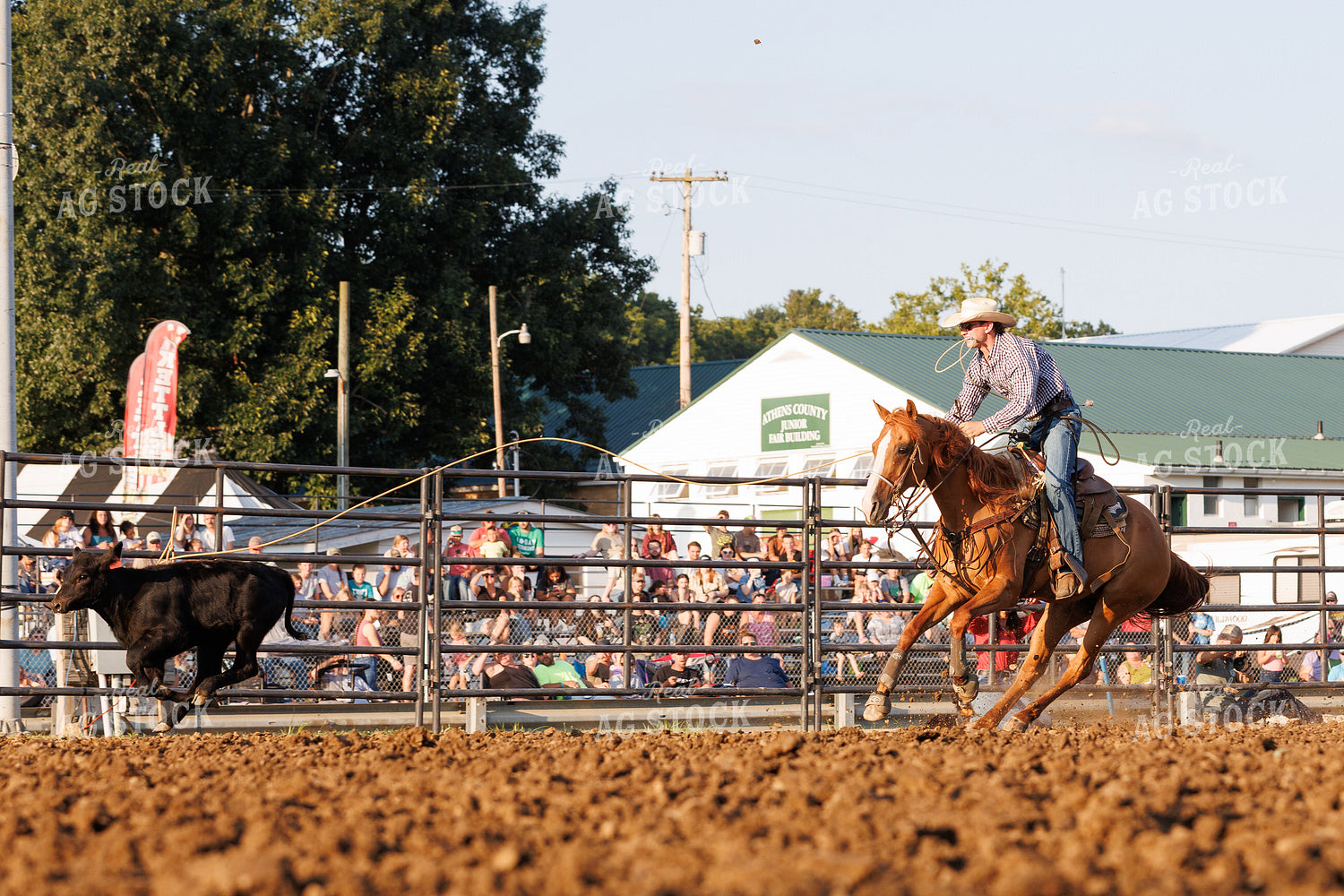 Rodeo 52889