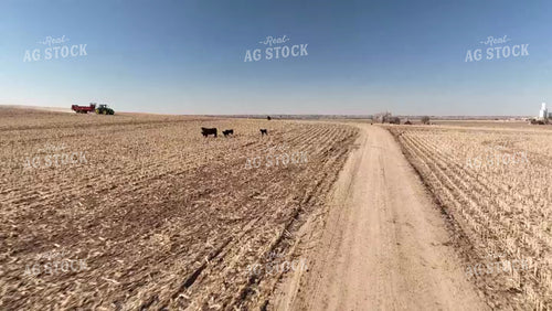 Manure Truck 56771