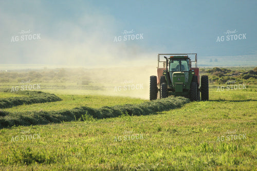 Baling Summer Hay Alfalfa and Mixed Grass 78143