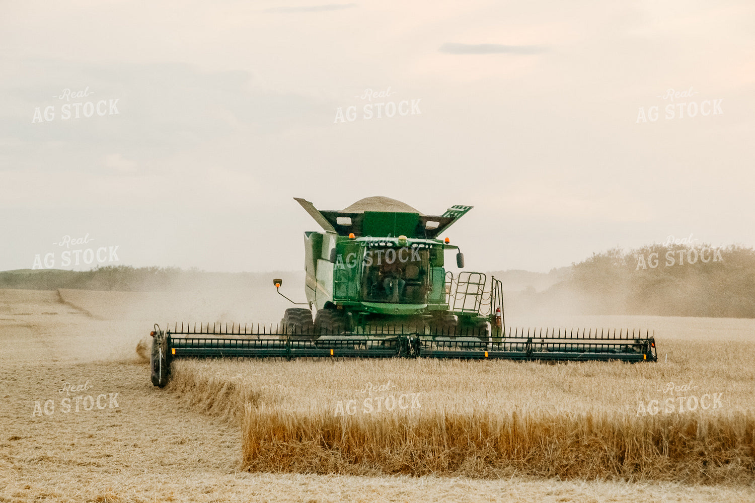 Combine Threshing Wheat 64094