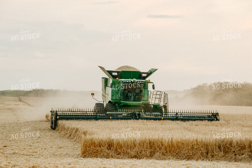 Combine Threshing Wheat 64094