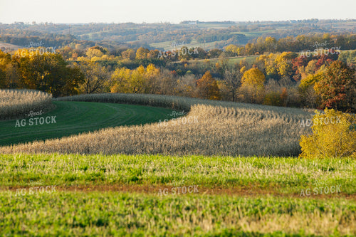 Scenic Fall Landscape 145038
