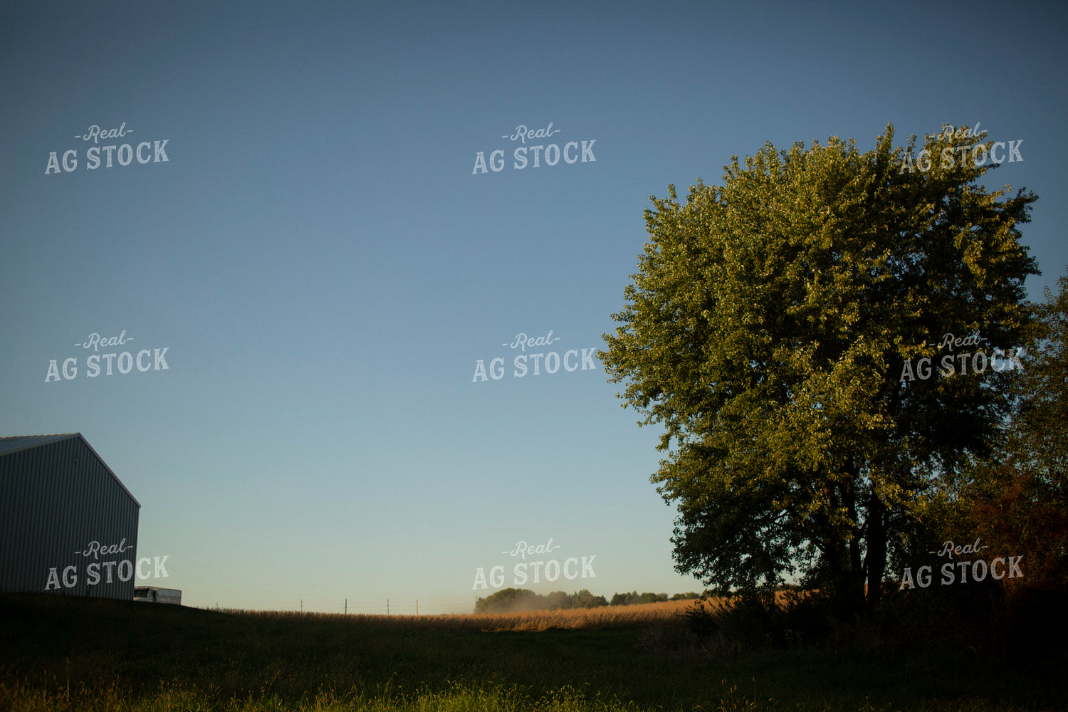 Rural 2007