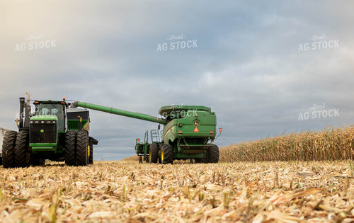 Corn Harvest 185086