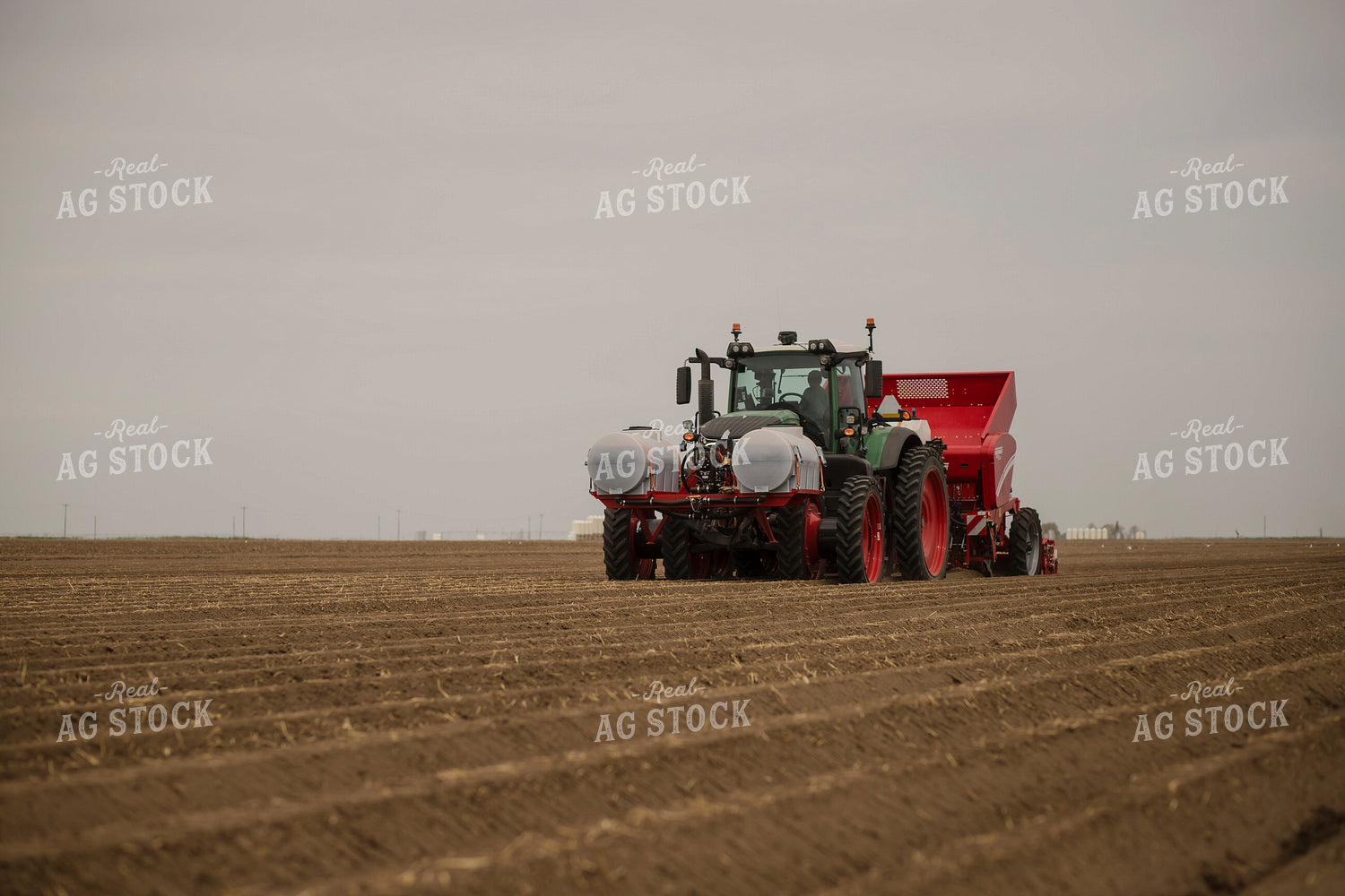 Planting Potatoes 135083