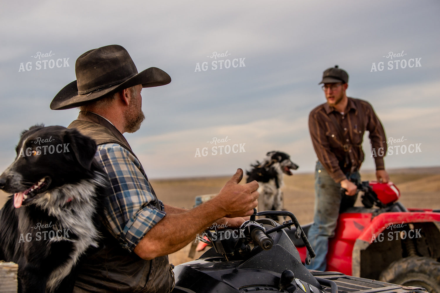 Ranchers and Dogs on Four Wheelers 299020