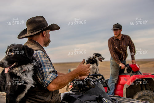 Ranchers and Dogs on Four Wheelers 299020