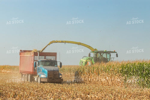 Silage Harvest 72099