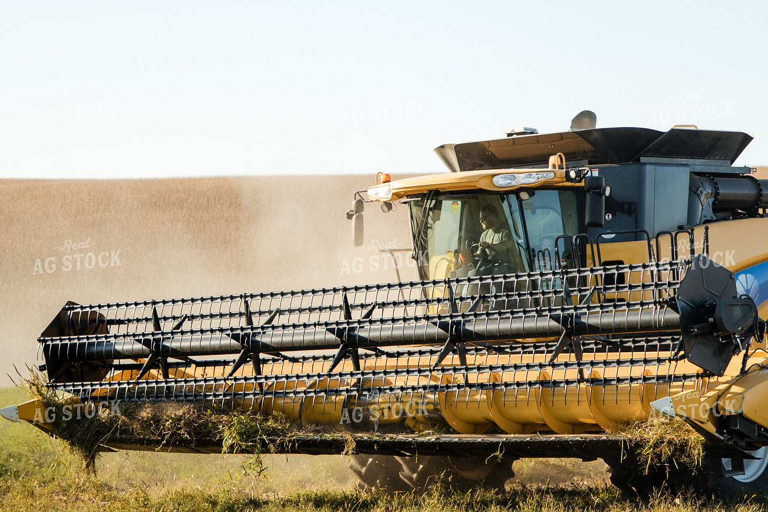 Soybean Harvest 215088