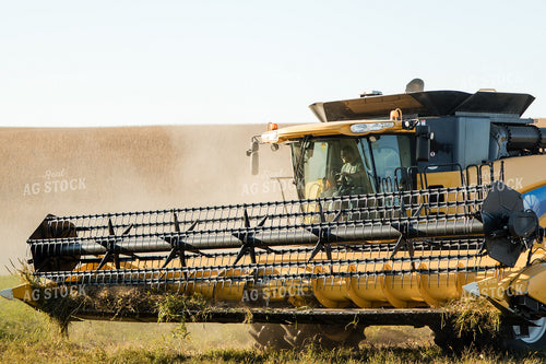 Soybean Harvest 215088