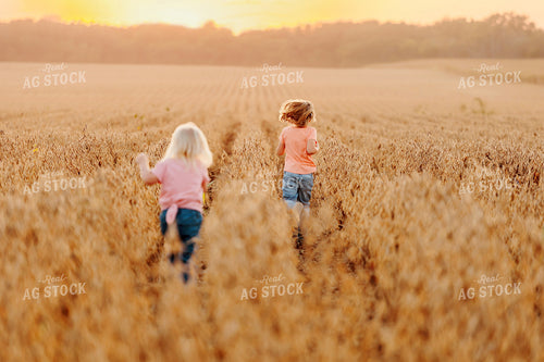 Farm Kids in Dried Soybean Field at Sunset 161190