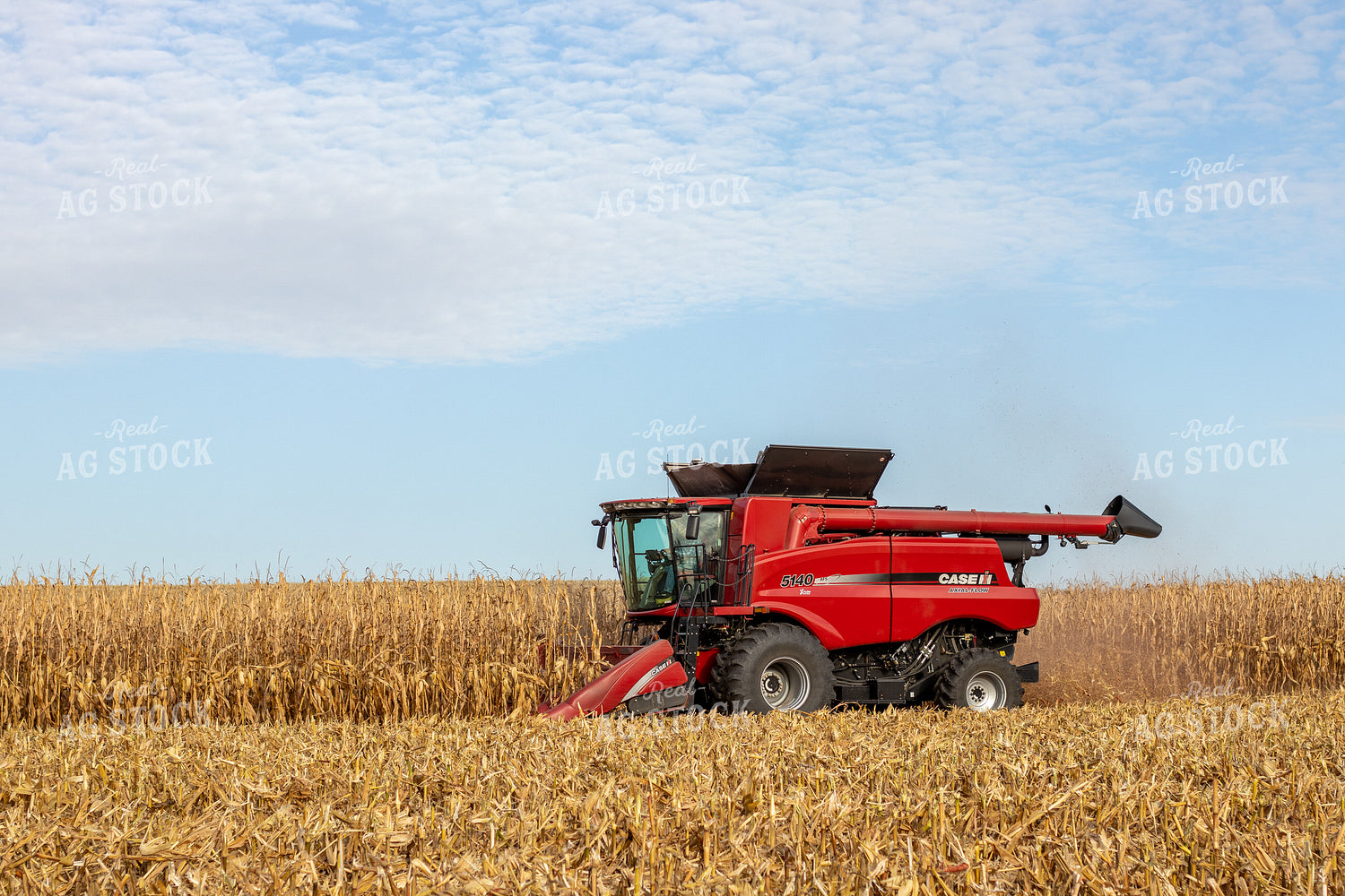 Combine Harvesting Corn 67146