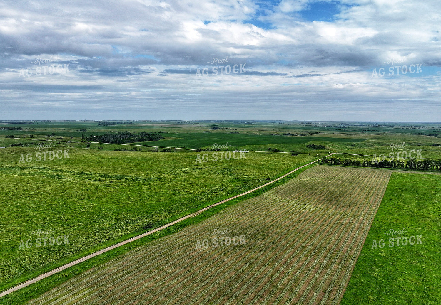 Aerial of Raked Hay 141301