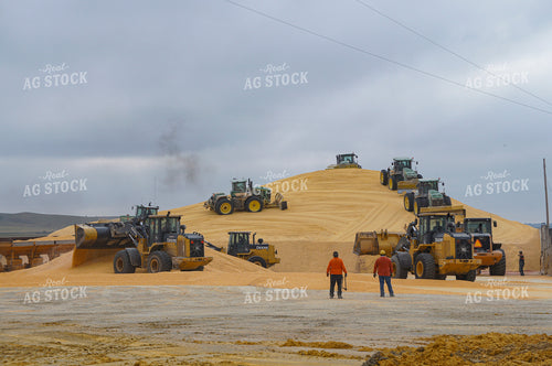 Flat Grain Storage 156042