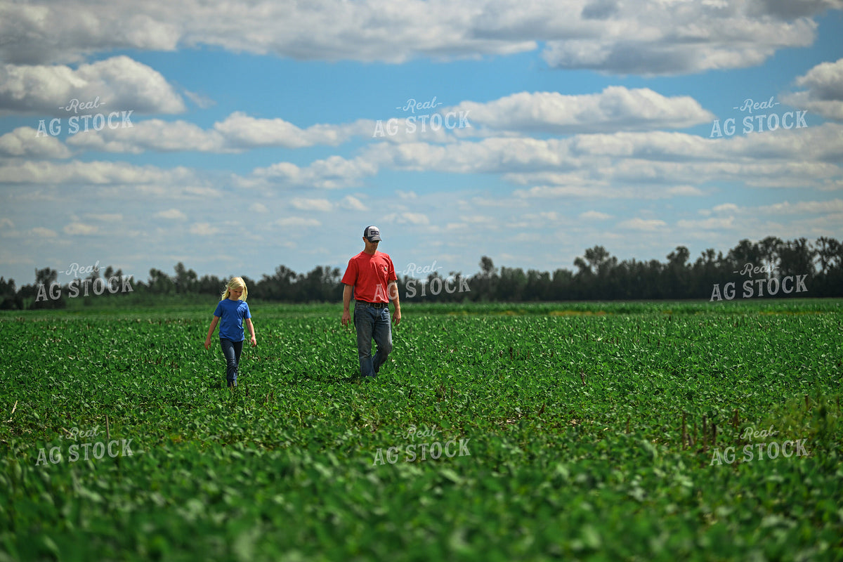 Farmer Scouting Soybean Field With Daughter 191314