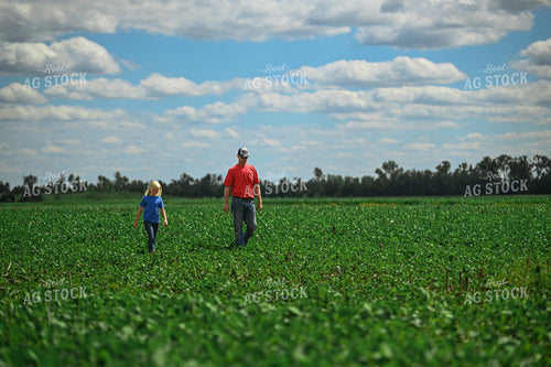 Farmer Scouting Soybean Field With Daughter 191314