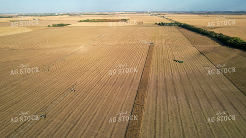 Aerial of Corn Harvest 65099