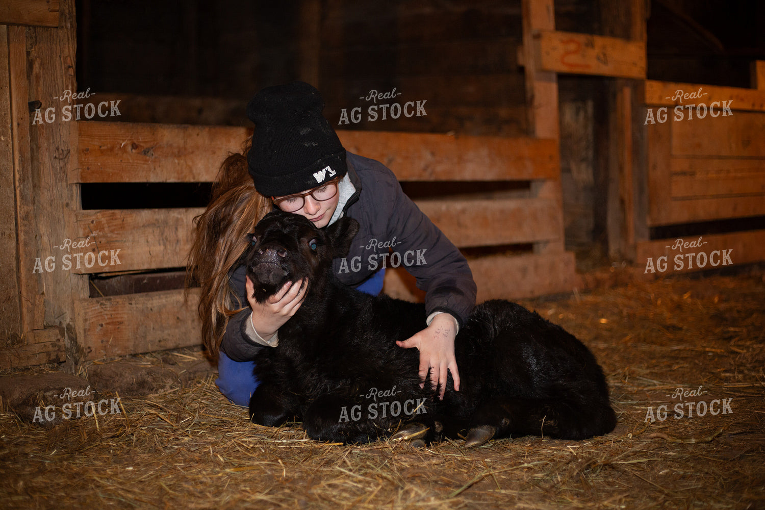 Farm Kid with Bottle Calf 155569