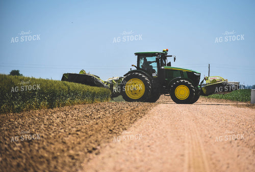 Cutting Wheat 56101
