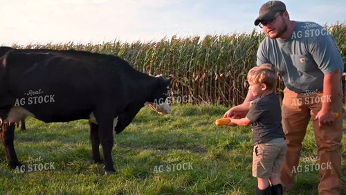 Farm Family in the Cattle Pasture - 361