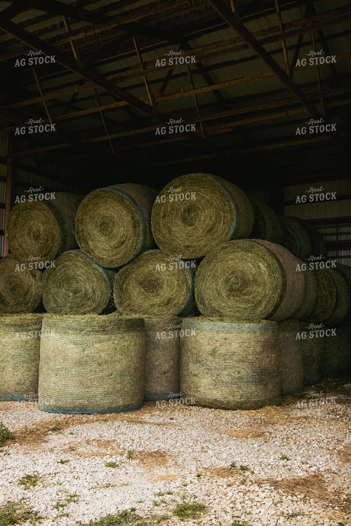 Round Bales 67805