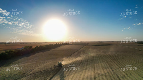 Soybean Harvest 65241
