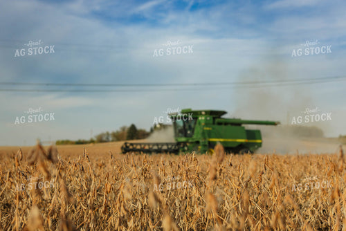 Soybean Harvest 152616