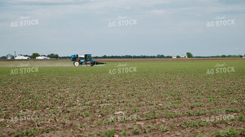 Self-Propelled Sprayer Applying Crop Protection to Early-Season Soybeans 401009