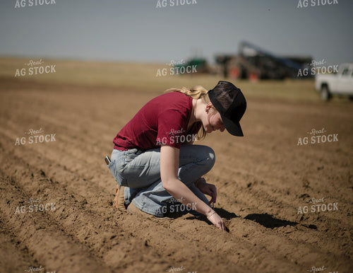 Female Farmer Checking Seed Depth 135077