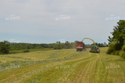 Harvesting Hay Silage 206055