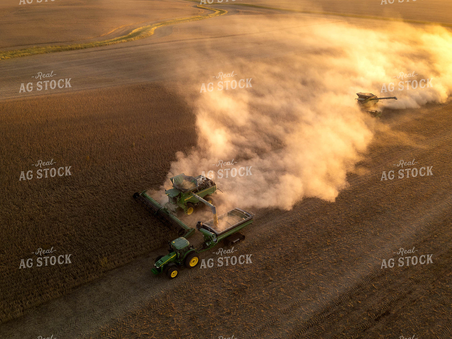 Aerial of Soybean Harvest 115614