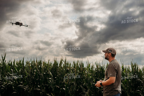 Scouting Fields With Drone 196345