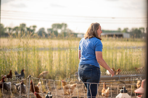 Farmer with Free Range Chickens 76538