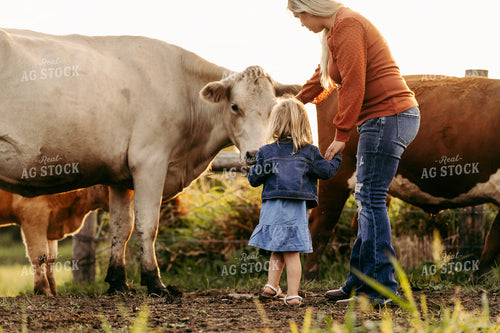Farm Mom and Kid with Cattle 68243