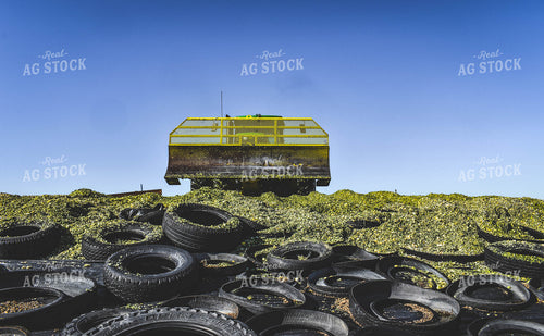 Silage Pile 56052