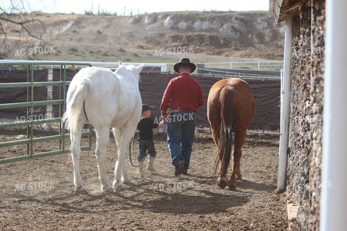 Horses, Rancher and Farm Kid 63035