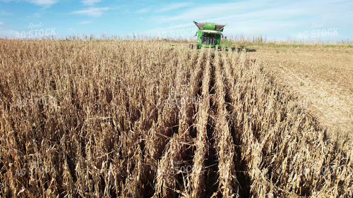 Aerial of Corn Harvest 65563