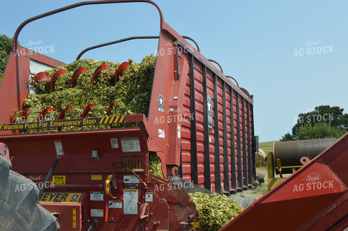 Bagging Silage 206065