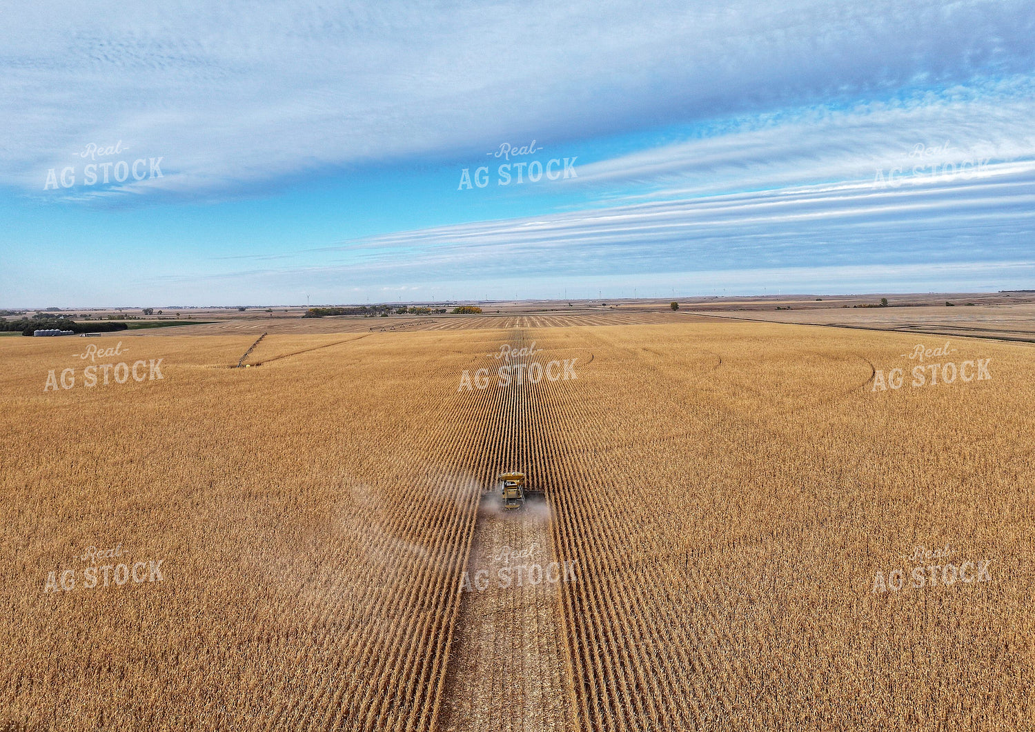 Aerial of Corn Harvest 141192