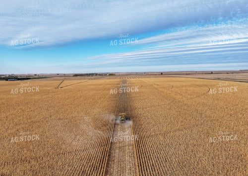 Aerial of Corn Harvest 141192