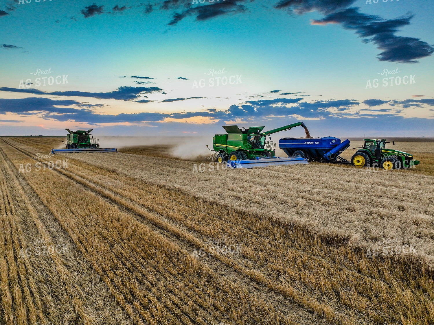 Wheat Harvest 199005