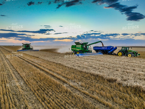 Wheat Harvest 199005