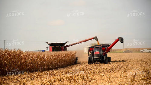 Combine Unloading Corn into Auger Wagon on the Go 25603