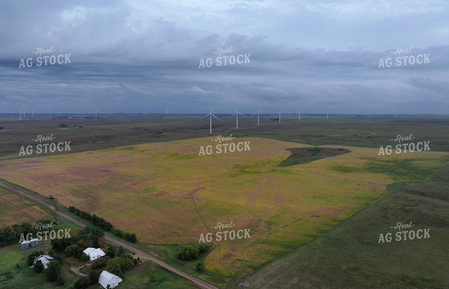 Scenic Farmland 141423