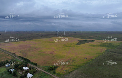 Scenic Farmland 141423