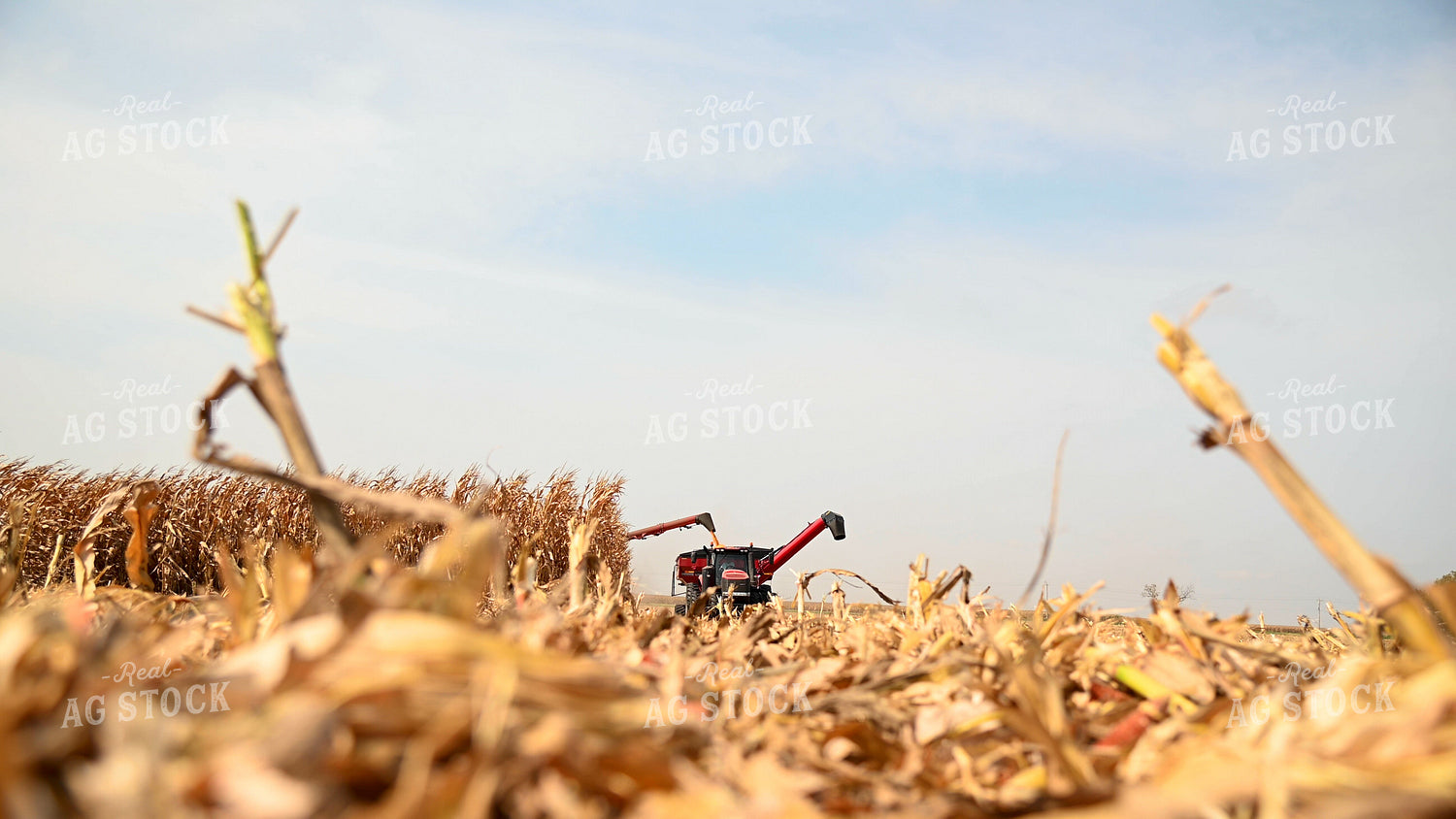 Combine Unloading Corn into Auger Wagon on the Go 25608