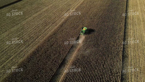 Corn Harvest 115187