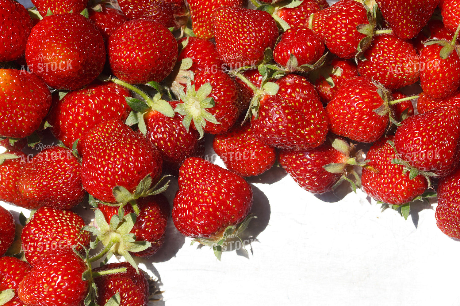 Strawberries 145068