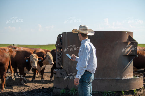 Rancher Using Phone 212122