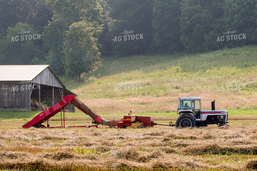 Baling Hay 52291